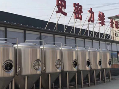 绥阳精酿啤酒设备厂—如何判断精酿啤酒设备的密封件需要更换？